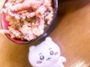 新着ブログ うさぎにかじられたのだろう