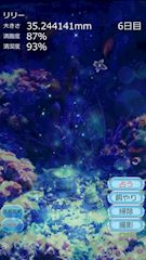 七海 琴莉🕊亀戸 Ray