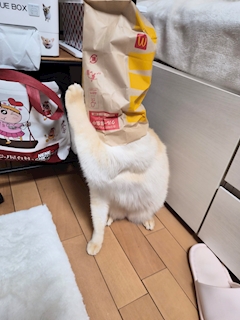 みつき