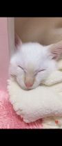 新着ブログ 出勤です👾