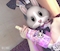 プロフィール写真5・らむ🍖｜GIRL'S DINING BAR Canan 品川店・カナン - 品川のガールズバー