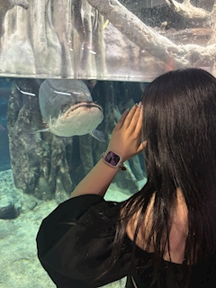 店舗写真 スナックことり - 鹿児島県・天文館のスナック
