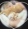 新着ブログ ぐにゃ~んっ