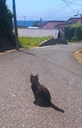 さみぃ