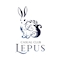 プロフィール写真2・あお｜CASUAL CLUB LEPUS・レプス - 豊橋のキャバクラ