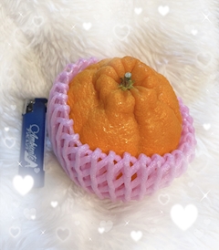 すみえ