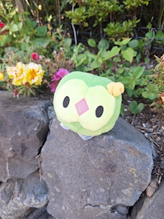 かのん「久々しゅきん！」
