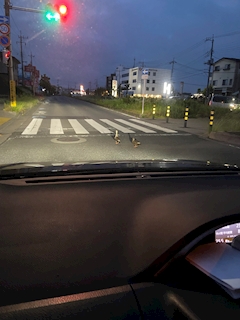 れお