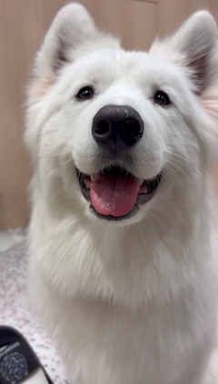 すず「本日もおります👍🏻⭐️」