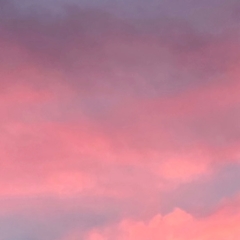 ゆう