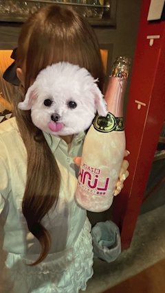 プロフィール写真1・(՞っ ̫ _՞)🩵|Link・リンク - 今池のスナック