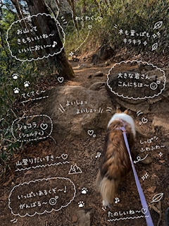 ねね🌗勝田台テラス