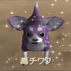 プロフィール写真1・毒チワワ藤巻｜GIRL'S BAR ALICIA・アリシア - 町田のガールズバー