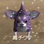 毒チワワ藤巻
