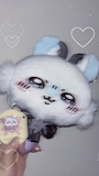 chiko