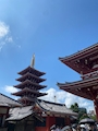 新着ブログ 𝐌𝐨𝐧𝐝𝐚𝐲