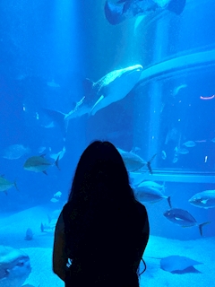 テキ屋のヒロシ