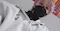 プロフィール写真4・リョウ|ZEROから始まる彼女 - 千葉・富士見町のコンカフェ