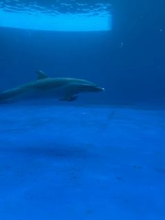 らら