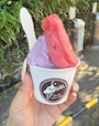 新着ブログ 休日🩷🍦
