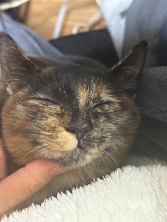 プロフィール写真3・美月｜Casual Lounge c;Rown・クラウン - 高槻のラウンジ/クラブ