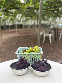 🍇