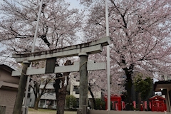 うてな