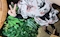 プロフィール写真2・りあ🐼ྀི新小岩ラフテル|Girl’s Bar ラフテル・ラフテル - 新小岩のガールズバー
