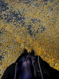 プロフィール写真7・トムウィング|奏・カナデ - 渋谷のキャバクラ