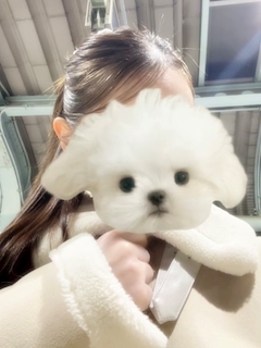 りあ【下北沢CLUB BARON】「わん🐩」