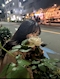プロフィール写真2・りりか|Girls Bar J・ガールズバー ジェイ - 錦糸町駅南口のガールズバー