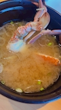 新着ブログ やまと寿司( ͜🍣 ・ω・) ͜🍣