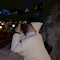 プロフィール写真1・ゆう｜PINKY・ピンキー - 本八幡のガールズバー