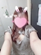 プロフィール写真3・もも🍑｜GIRLS BAR Y・ワイ - 中目黒のガールズバー
