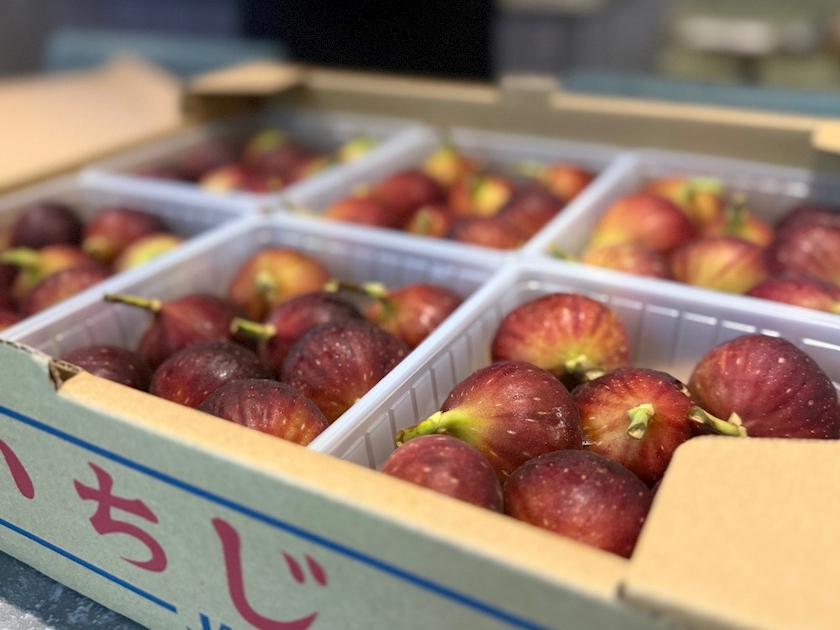 さき🩶神戸昼スナック