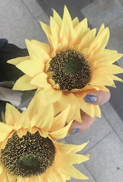 プロフィール写真2・ひまり｜mrs.J 錦・ミセスジェイ ニシキ - 名古屋 錦の熟女パブ/熟女キャバクラ