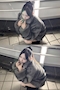 プロフィール写真3・もね　はちくろ｜はちみつくろーばー - 池袋西口のキャバクラ