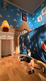 新着ブログ ピクサー展🚀✨