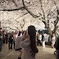 女の子の名前