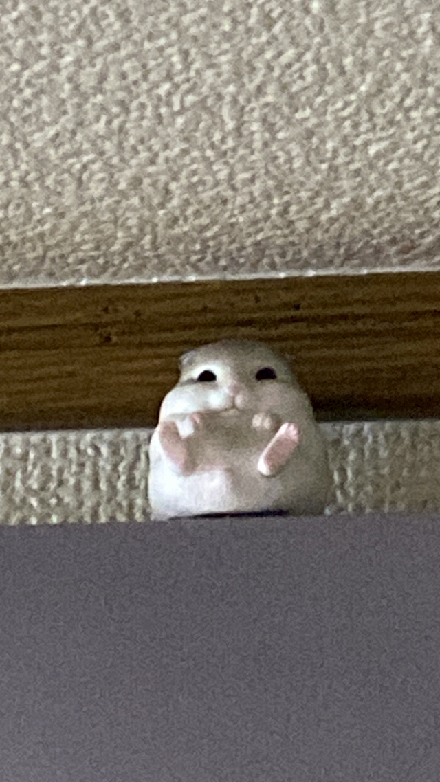 プロフィール写真2・まい｜祇園 キャバクラ・ホワイトナイト