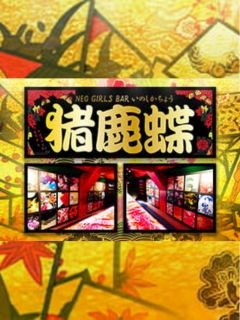 プロフィール写真1・カイ｜NEO GIRLS BAR 猪鹿蝶・イノシカチョウ - 田無のガールズバー