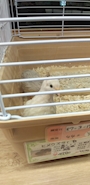 新着ブログ なぎさ