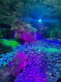 新着ブログ 紫陽花祭りに行ってきたよ💠🌿‬ ܸ