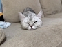 新着ブログ 出勤です‼️