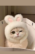 しゅんか