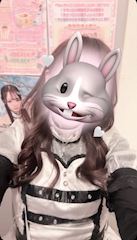 プロフィール動画