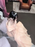 みさき