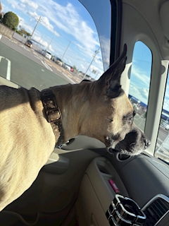 プロフィール写真1・たいき｜三重 ガールズバー・JEWEL 四日市