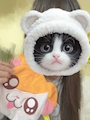 chiko