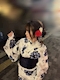 プロフィール写真5・くるみ|girl'sBAR 3年B組 - 江坂のガールズバー